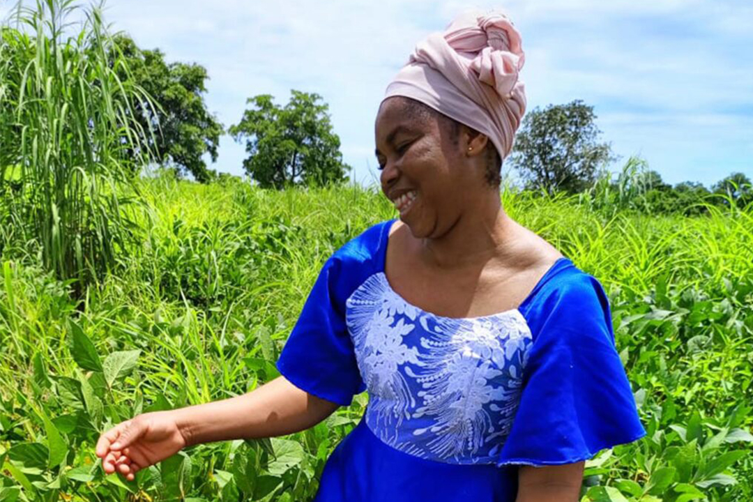 AMADONG-LADY-IN-THE-FARM